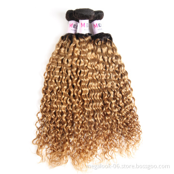 Wholesale Peruvian Human Hair Ombre 27# Bundles Jerry Curly Wave Peruvian Hair Bundles